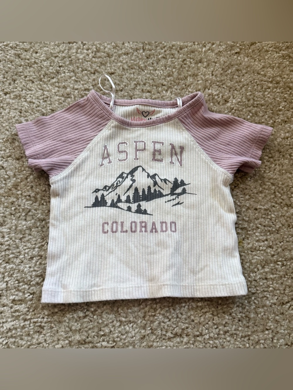 Aspen Colorado Raglan Tee for Kids - Light Pink & Cream 2T vtg